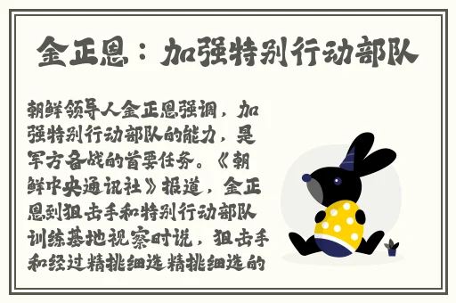 日本大但人文艺术项目介绍